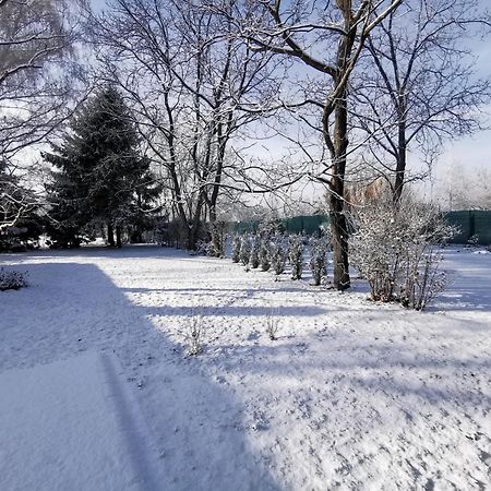 Szent Erzsébet Apartmanház Kecskemét Kültér fotó